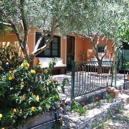 Il Vigneto "Cottage" Gaggi Pokój zdjęcie