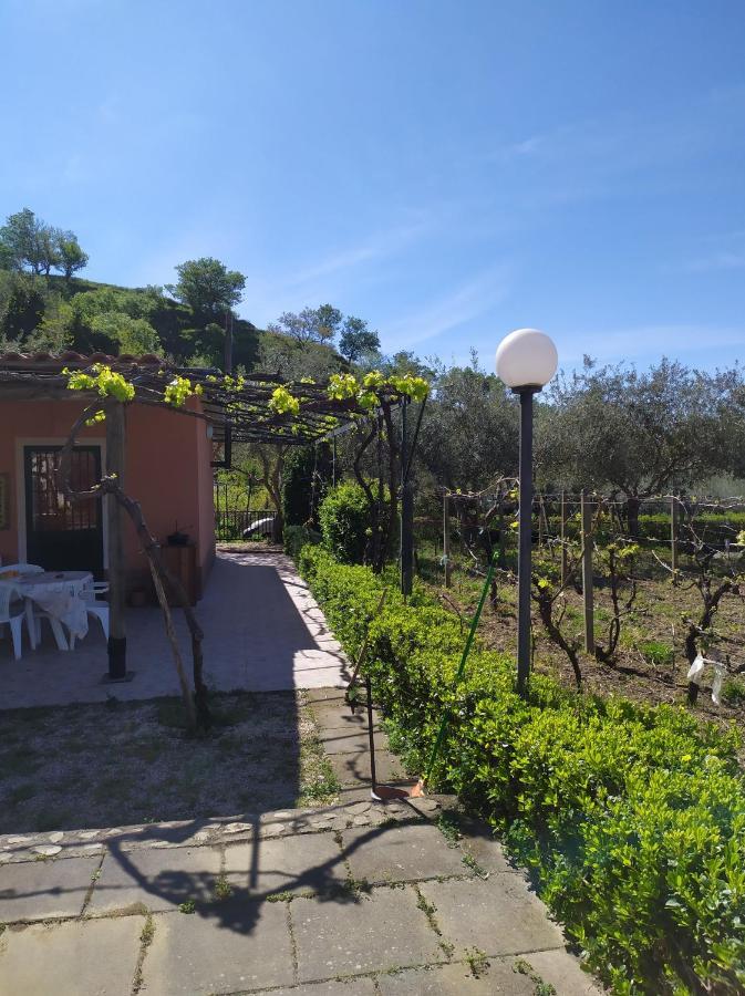 Il Vigneto "Cottage" Gaggi Zewnętrze zdjęcie