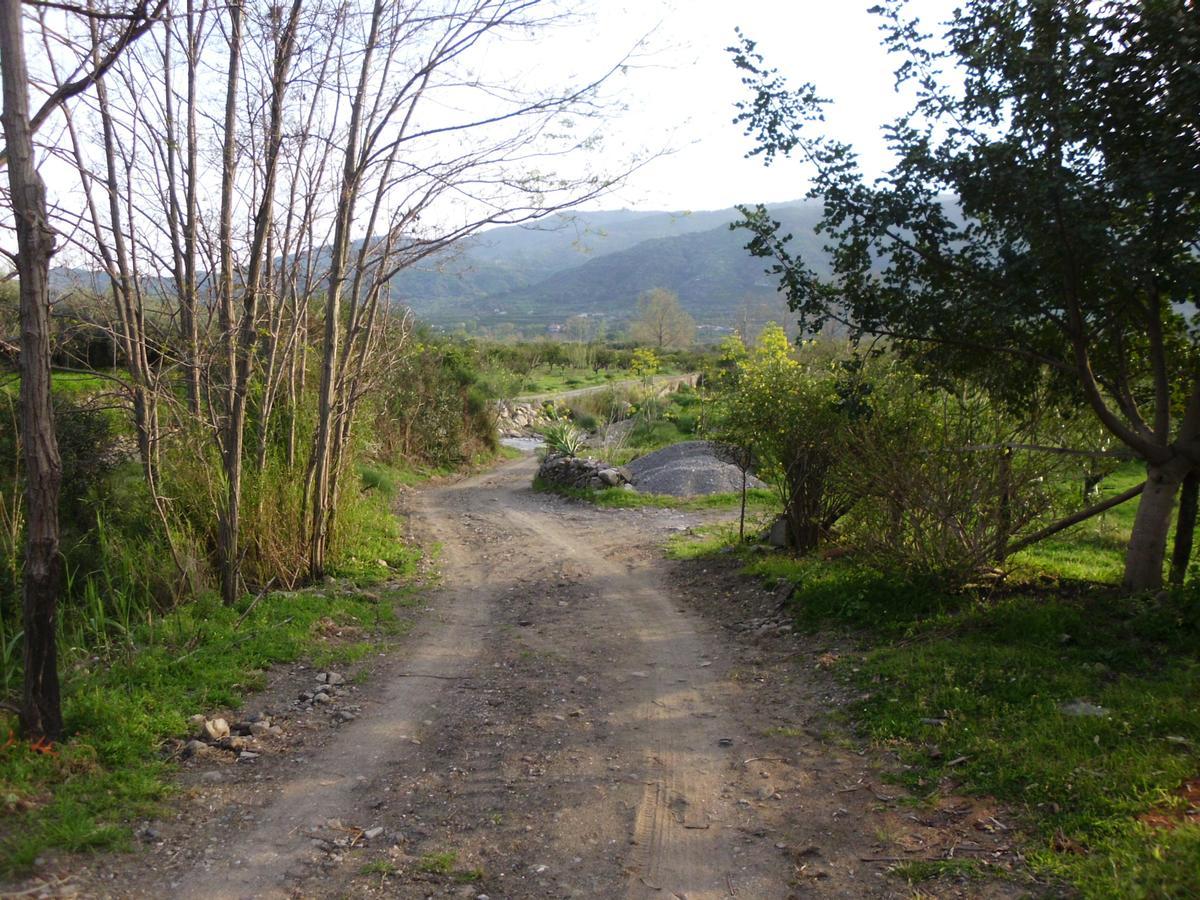 Il Vigneto "Cottage" Gaggi Zewnętrze zdjęcie